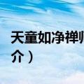 天童如净禅师遗录（关于天童如净禅师遗录简介）