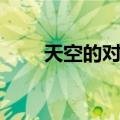 天空的对决（关于天空的对决简介）