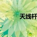 天线杆塔（关于天线杆塔简介）