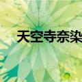 天空寺奈染弥（关于天空寺奈染弥简介）