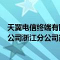 天翼电信终端有限公司浙江分公司（关于天翼电信终端有限公司浙江分公司简介）