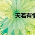 天若有情2（关于天若有情2简介）