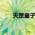 天罡童子功（关于天罡童子功简介）