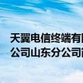 天翼电信终端有限公司山东分公司（关于天翼电信终端有限公司山东分公司简介）