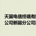 天翼电信终端有限公司新疆分公司（关于天翼电信终端有限公司新疆分公司简介）