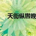 天街纵辔晚望（关于天街纵辔晚望简介）