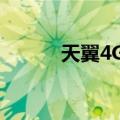 天翼4G+（关于天翼4G+简介）