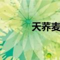 天荞麦根（关于天荞麦根简介）