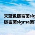 天蓝色链霉菌sigma因子SigT的调控机制研究（关于天蓝色链霉菌sigma因子SigT的调控机制研究简介）