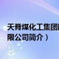 天脊煤化工集团股份有限公司（关于天脊煤化工集团股份有限公司简介）