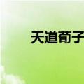 天道荀子传（关于天道荀子传简介）