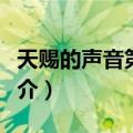 天赐的声音第三季（关于天赐的声音第三季简介）