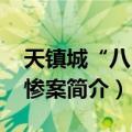 天镇城“八·八”惨案（关于天镇城“八·八”惨案简介）