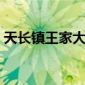 天长镇王家大院（关于天长镇王家大院简介）