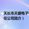 天长市天银电子有限责任公司（关于天长市天银电子有限责任公司简介）