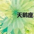 天鹅座31（关于天鹅座31简介）