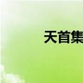 天首集团（关于天首集团简介）