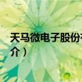 天马微电子股份有限公司（关于天马微电子股份有限公司简介）