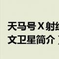 天马号Ⅹ射线天文卫星（关于天马号Ⅹ射线天文卫星简介）