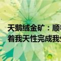 天鹅绒金矿：顺着我天性完成我生命（关于天鹅绒金矿：顺着我天性完成我生命简介）