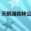 天鹅湖森林公园（关于天鹅湖森林公园简介）