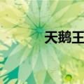 天鹅王座（关于天鹅王座简介）