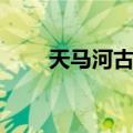 天马河古榕（关于天马河古榕简介）