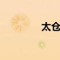 太仓促（关于太仓促简介）