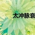 太冲脉衰少（关于太冲脉衰少简介）