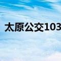 太原公交103路（关于太原公交103路简介）