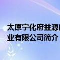 太原宁化府益源庆醋业有限公司（关于太原宁化府益源庆醋业有限公司简介）