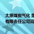 太原煤炭气化 集团有限责任公司（关于太原煤炭气化 集团有限责任公司简介）