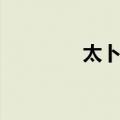 太卜令（关于太卜令简介）