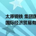 太原钢铁 集团国际经济贸易有限公司（关于太原钢铁 集团国际经济贸易有限公司简介）