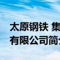 太原钢铁 集团有限公司（关于太原钢铁 集团有限公司简介）