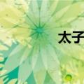 太子伋（关于太子伋简介）