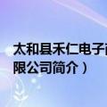 太和县禾仁电子商务有限公司（关于太和县禾仁电子商务有限公司简介）