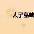 太子墓魄经（关于太子墓魄经简介）