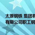 太原钢铁 集团有限公司职工钢铁学院（关于太原钢铁 集团有限公司职工钢铁学院简介）