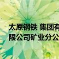 太原钢铁 集团有限公司矿业分公司（关于太原钢铁 集团有限公司矿业分公司简介）