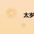 太岁神（关于太岁神简介）