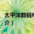 太平洋数码电脑城（关于太平洋数码电脑城简介）