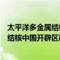 太平洋多金属结核中国开辟区矿床地质（关于太平洋多金属结核中国开辟区矿床地质简介）