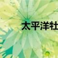 太平洋牡蛎（关于太平洋牡蛎简介）