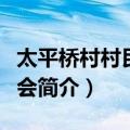 太平桥村村民委员会（关于太平桥村村民委员会简介）