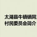 太湖县牛镇镇同义村村民委员会（关于太湖县牛镇镇同义村村民委员会简介）