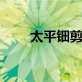 太平钿剪纸（关于太平钿剪纸简介）