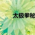 太极拳秘谱（关于太极拳秘谱简介）