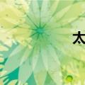 太易（关于太易简介）