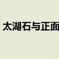 太湖石与正面体（关于太湖石与正面体简介）